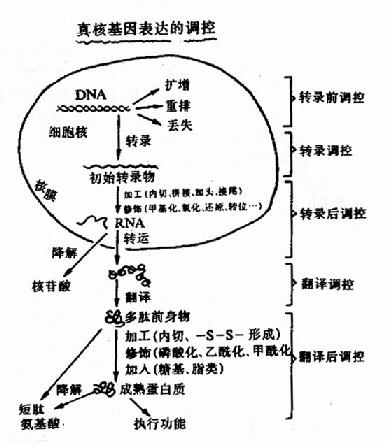 07701.jpg