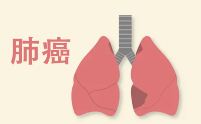 肺是怎么样的器官？如何养肺？